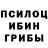 Галлюциногенные грибы GOLDEN TEACHER Tetti 777