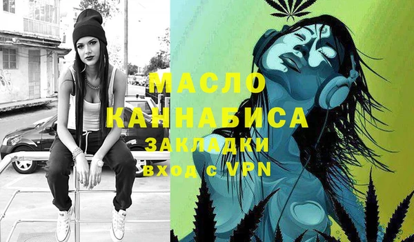 молекула духа Сясьстрой